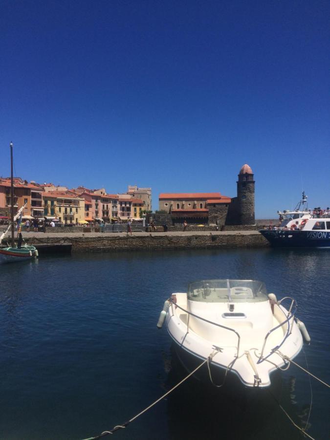 Marina Les Pieds Dans L Eau Apartment Le Barcarès Екстериор снимка